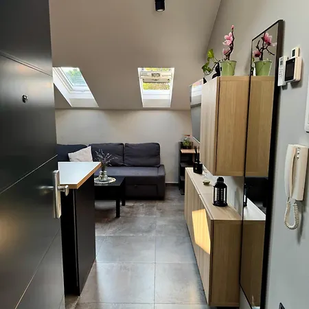 Apartmán Ami & Private Parking