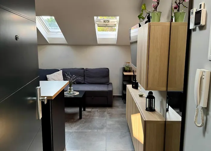 アパート Ami & Private Parking